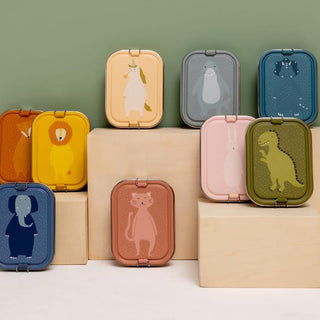 Large Lunch Box - Mrs. Cat