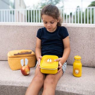 Small Lunch Box - Mr. Lion
