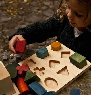 Wooden Shape Sorting Blocks - Colors