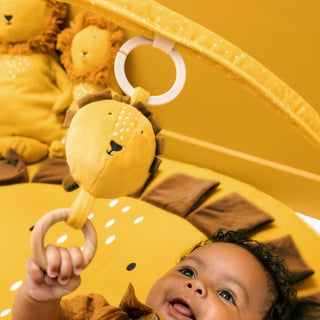 Activity Play Mat with Arches - Mr. Lion